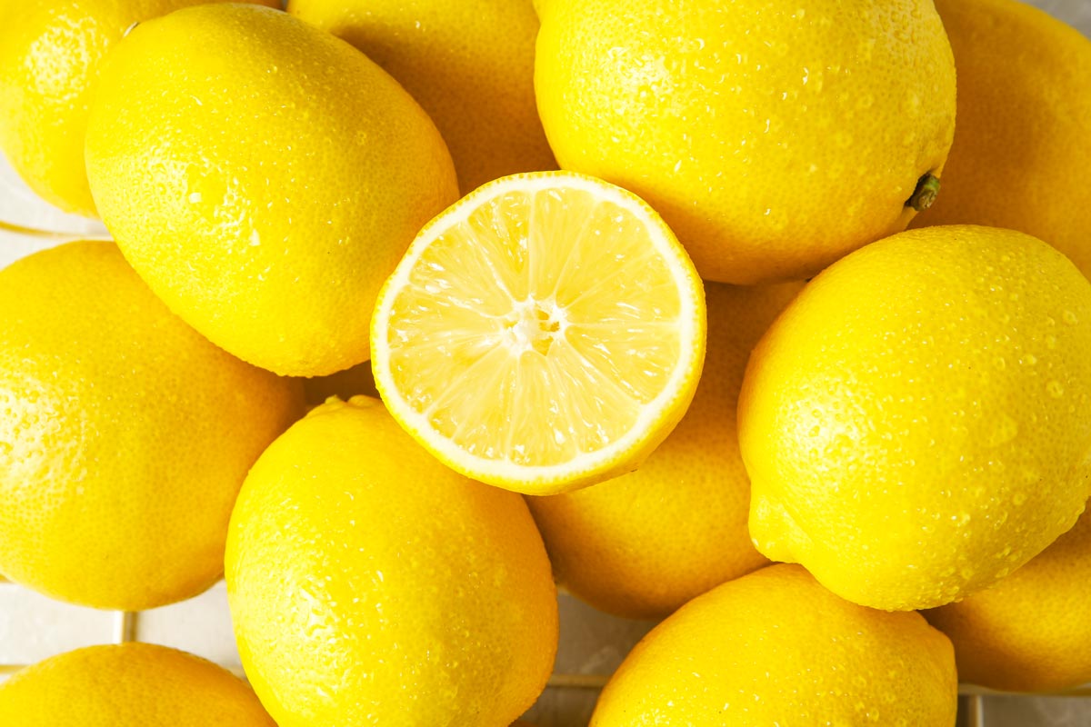 A-carta-e-musica-in-mano-e-barbiere-medicina-delle-cefalee-2