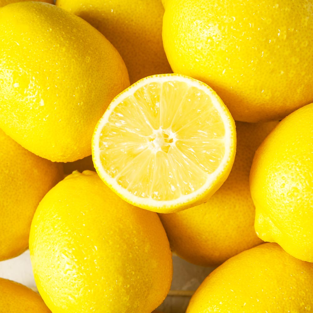 A-carta-e-musica-in-mano-e-barbiere-medicina-delle-cefalee-1